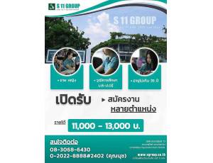 บริษัท เอส 11 กรุ๊ป จำกัด (มหาชน)