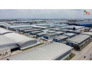 ข้อมูล MARK AND FRIEND CO., LTD.