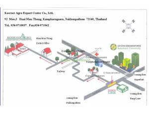 ข้อมูล บริษัท เคอร์เน่อร์ อะโกร เอ็กซปอร์ต เซ็นเตอร์ จำกัด