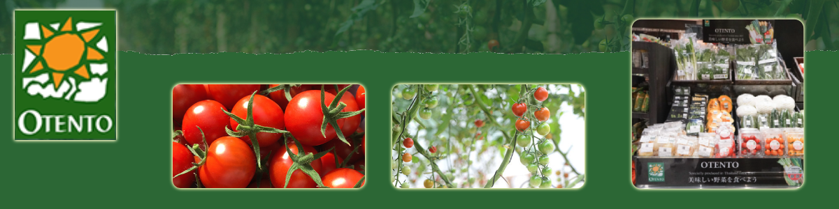 งาน บัญชี-ธุรการ บริษัท โอเทนโต (ประเทศไทย) จำกัด