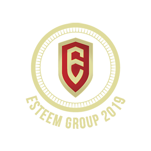 logo บริษัท เอสทีม กรุ๊ป 2019 จำกัด