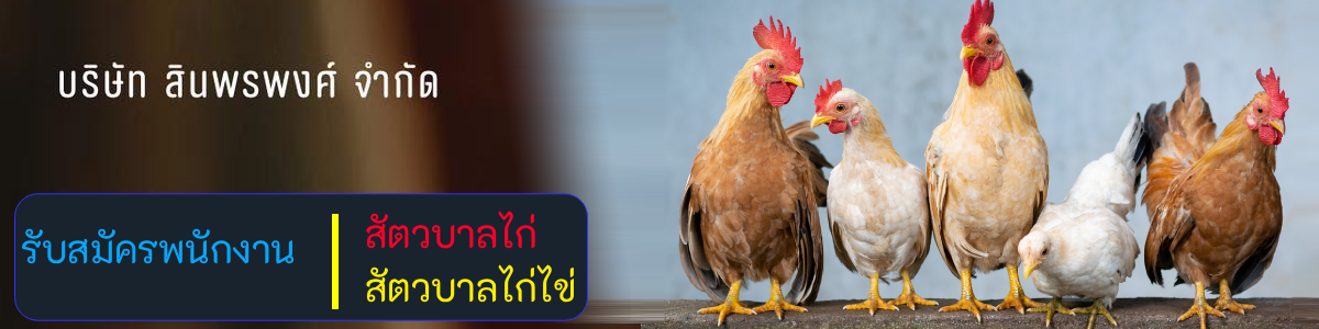 งาน สัตวบาลไก่ไข่ บริษัท สินพรพงศ์ จำกัด