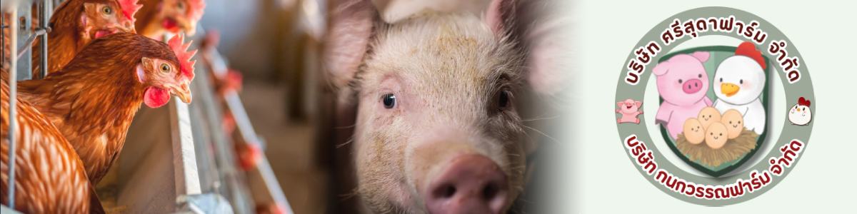 งาน เจ้าหน้าที่ความปลอดภัยระดับวิชาชีพ (จป.วิชาชีพ) Safety Officer บริษัท กนกวรรณและศรีสุดาฟาร์ม จำกัด